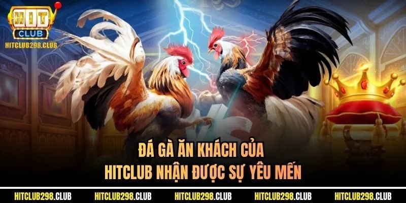 Đá gà ăn khách của Hitclub nhận được sự yêu mến